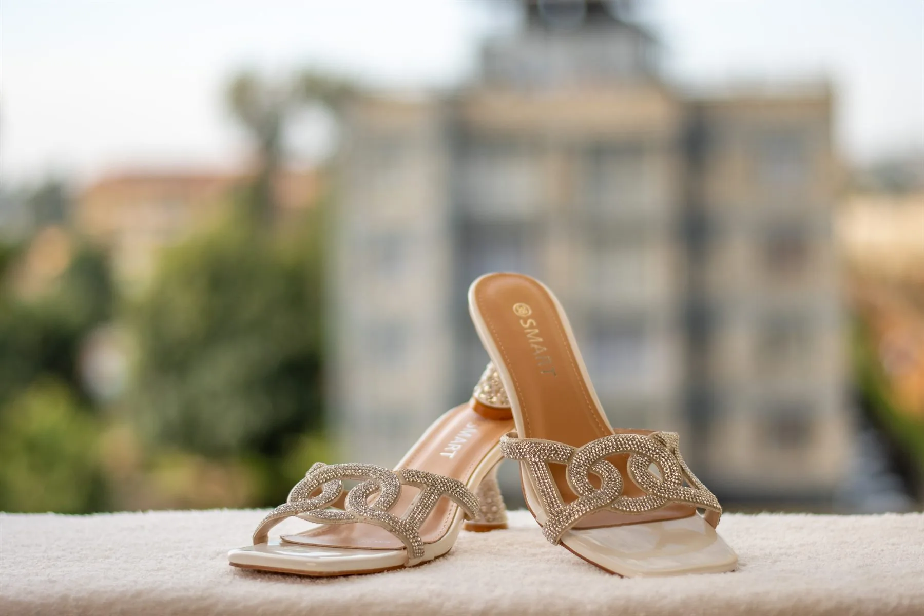 Wedding shoes detail